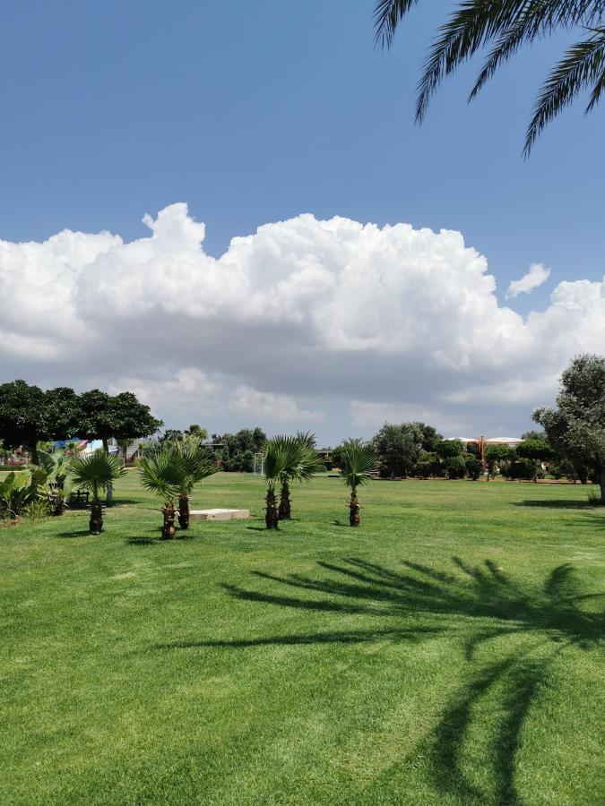 Green Apartment In Bafra Northern Cyprus Vokolidha Εξωτερικό φωτογραφία