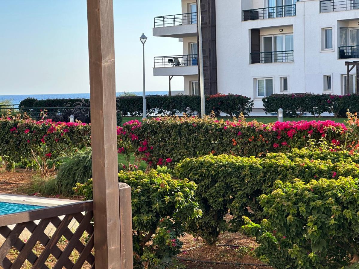 Green Apartment In Bafra Northern Cyprus Vokolidha Εξωτερικό φωτογραφία